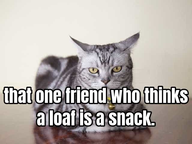 that one friend who thinks a loaf is a snack.