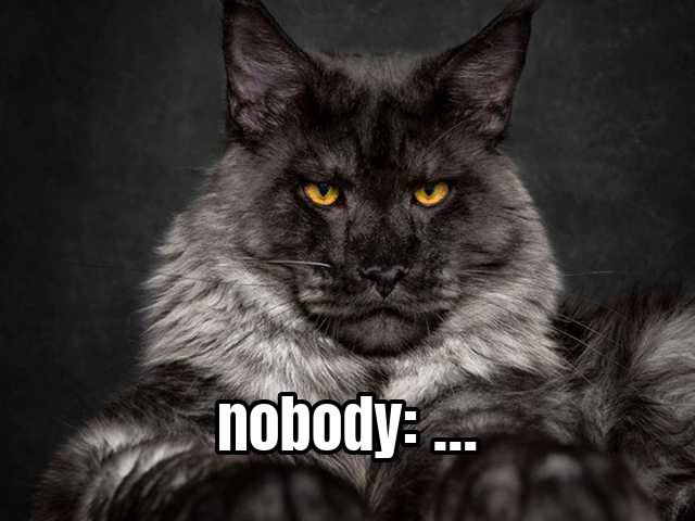 nobody: …