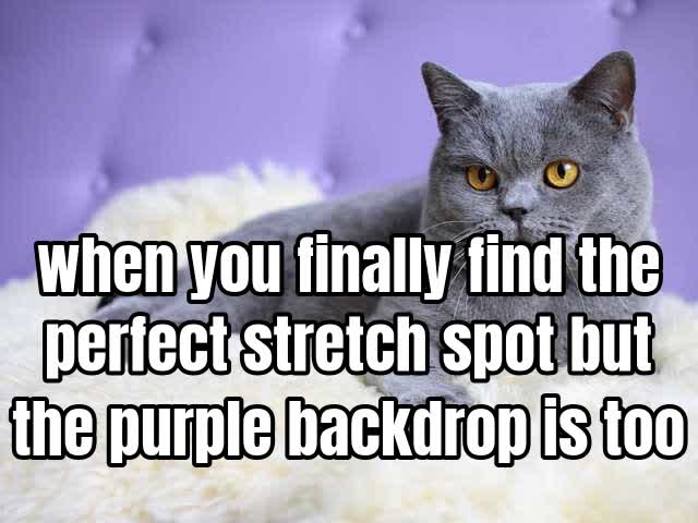 when you finally find the perfect stretch spot but the purple backdrop is too much