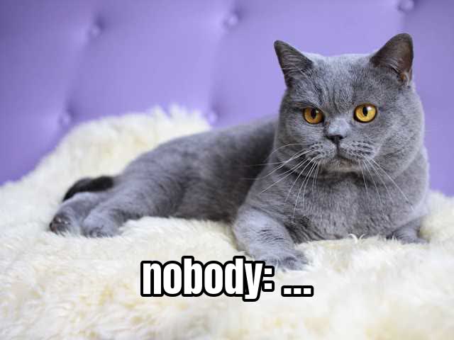 nobody: …