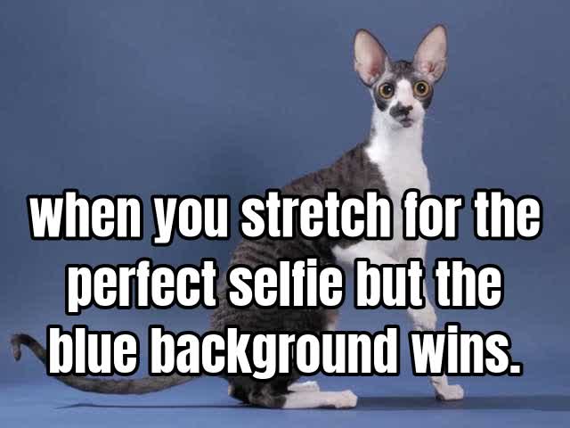 when you stretch for the perfect selfie but the blue background wins.