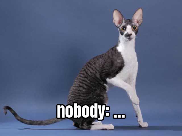 nobody: …