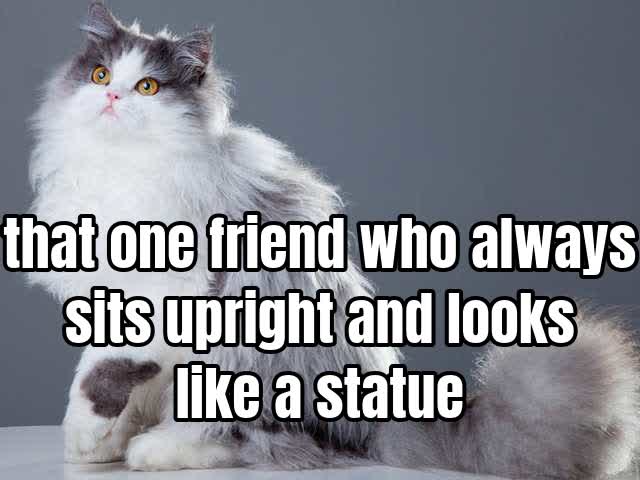 that one friend who always sits upright and looks like a statue