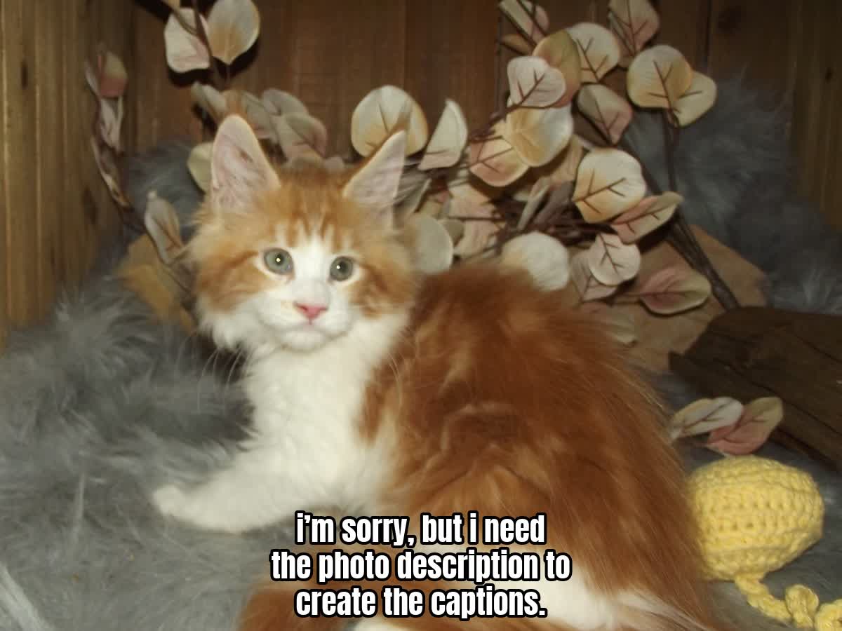 i’m sorry, but i need the photo description to create the captions.