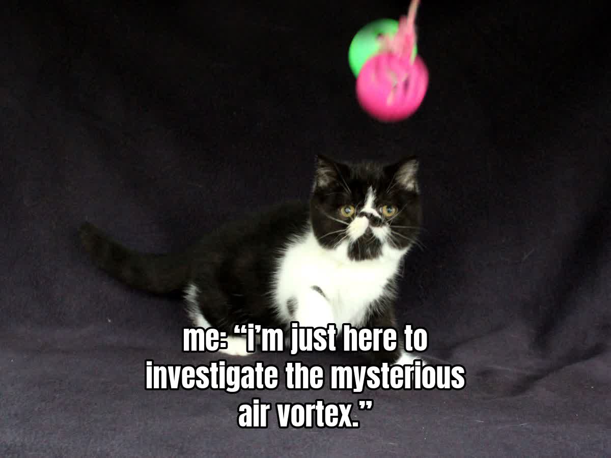 me: “i’m just here to investigate the mysterious air vortex.”