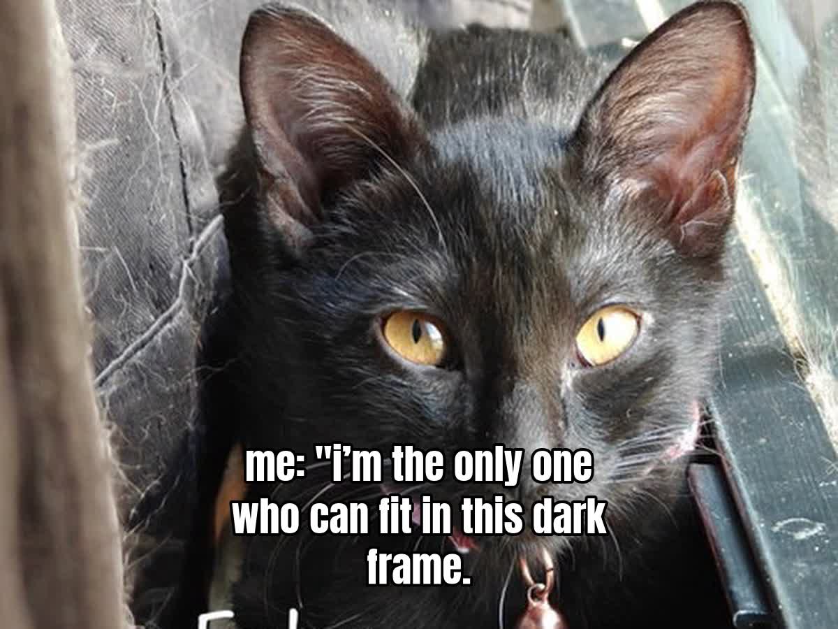 me: "i’m the only one who can fit in this dark frame.