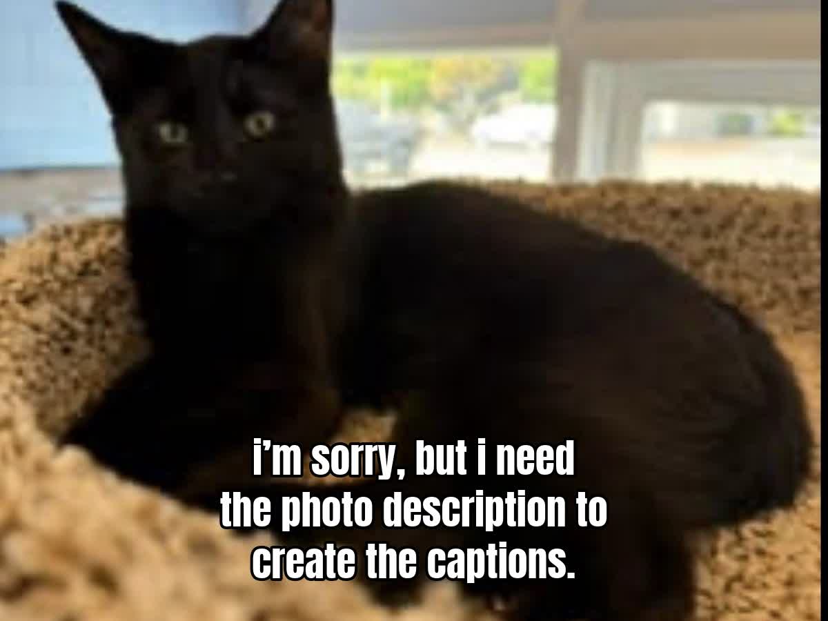 i’m sorry, but i need the photo description to create the captions.