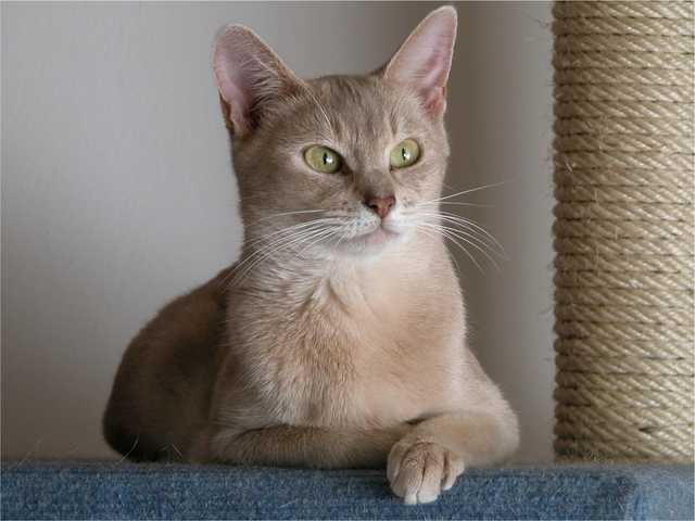 Photo of Winston