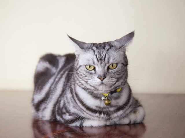 Photo of Sophie