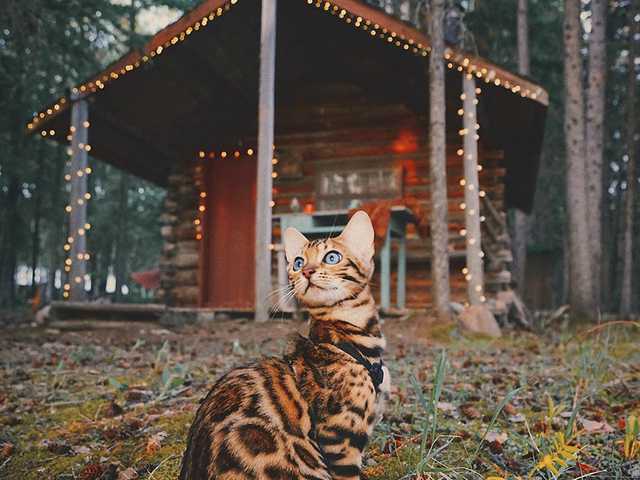 Photo of Fiona