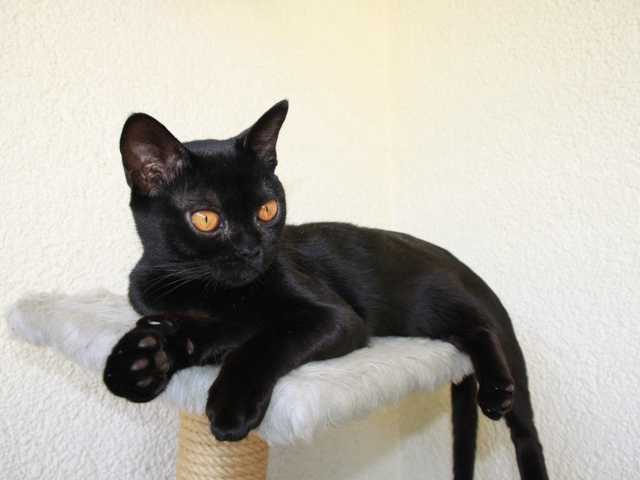 Photo of Jack