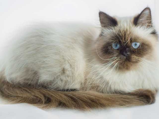 Main photo of Fiona