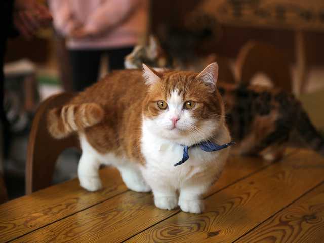 Photo of Hazel