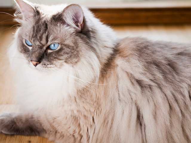 Main photo of Marble