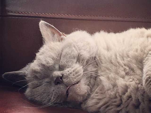 Photo of Sophie