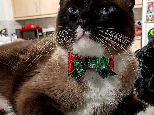 Photo of Jasper