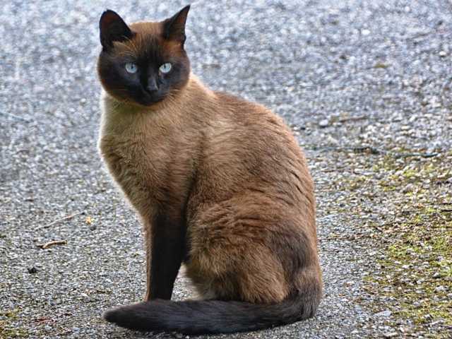 Main photo of Zoe