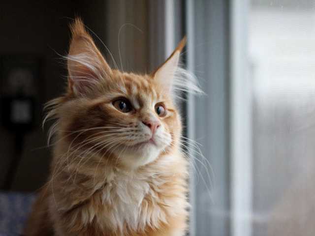 Photo of Daisy