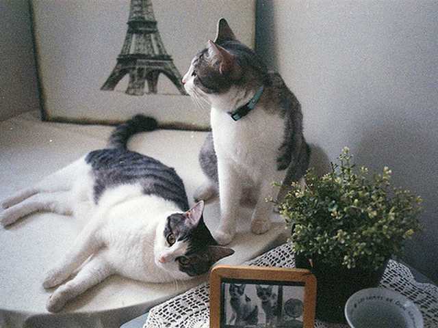 Photo of Max